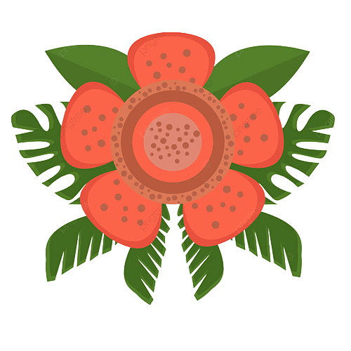 pngtree red rafflesia flat design png image 3416906 removebg preview
